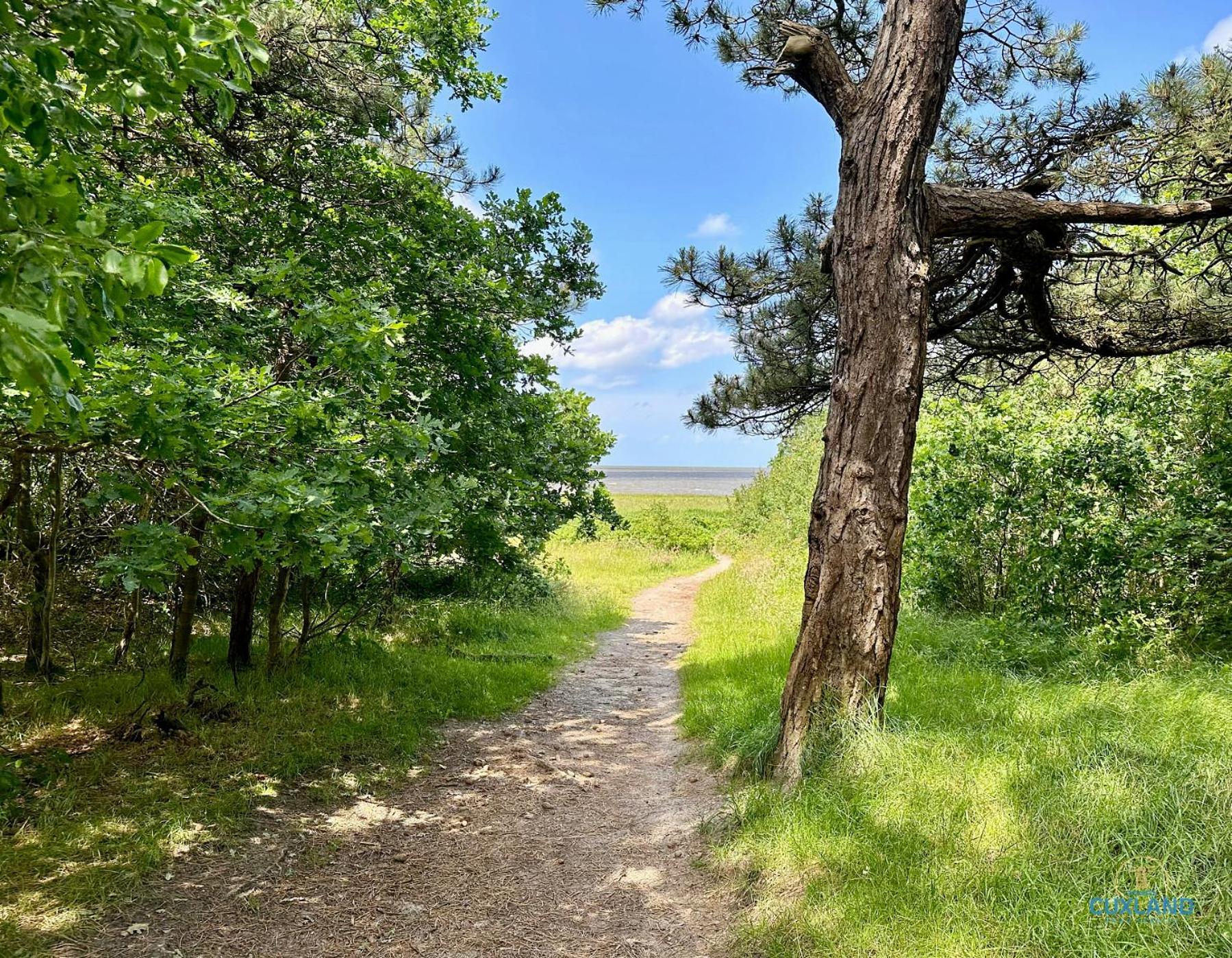 Apartmán Auszeit Am Wernerwald Im Haus Frauenpreiss Cuxhaven Exteriér fotografie