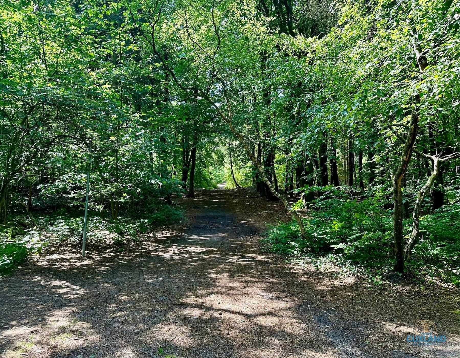 Apartmán Auszeit Am Wernerwald Im Haus Frauenpreiss Cuxhaven Exteriér fotografie
